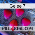 Jelly 7 13